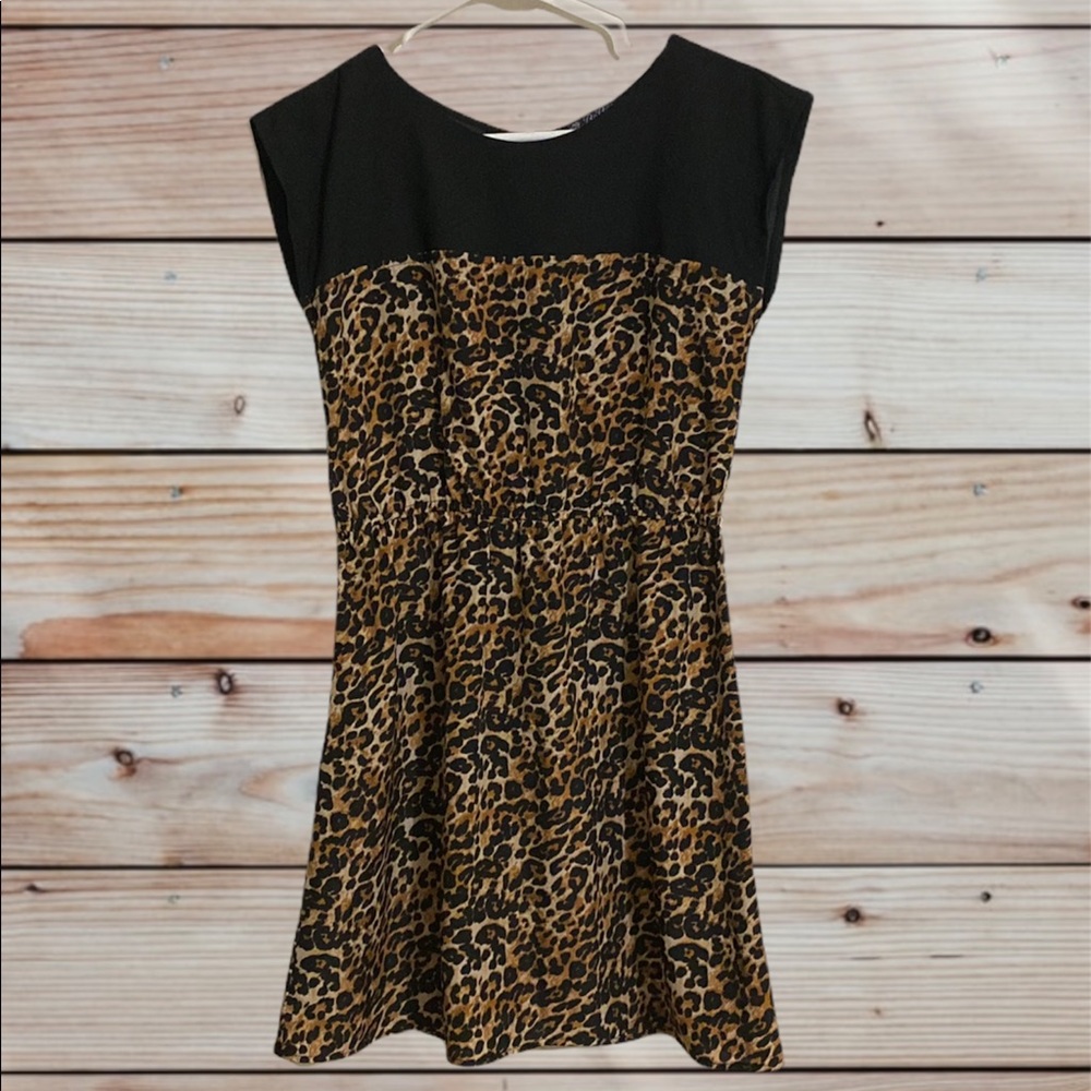 Leopard Print Dress